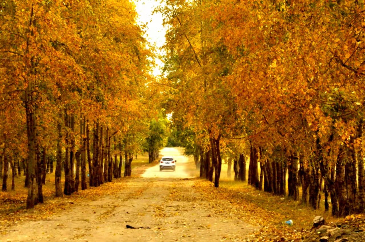 張北的秋天有多美